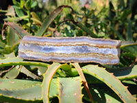 Polished On One Side 'Crazy' Blue Lace Agate x 7 From Namibia