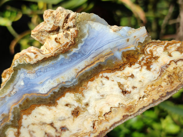 Polished On One Side 'Crazy' Blue Lace Agate x 7 From Namibia