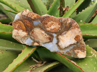 Polished On One Side 'Crazy' Blue Lace Agate x 7 From Namibia