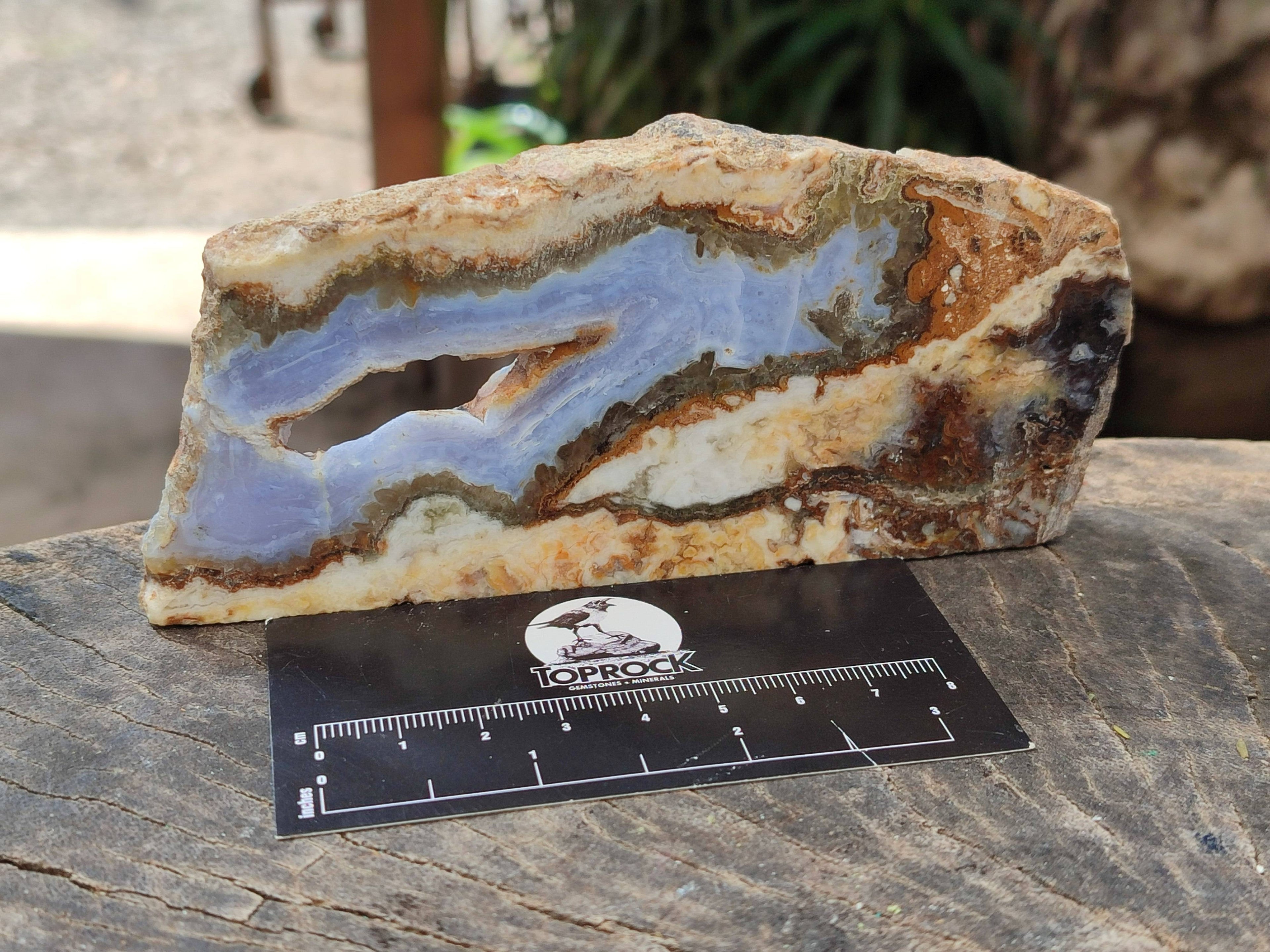 Polished On One Side 'Crazy' Blue Lace Agate x 7 From Namibia - Toprock Gemstones and Minerals 