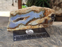 Polished On One Side 'Crazy' Blue Lace Agate x 7 From Namibia