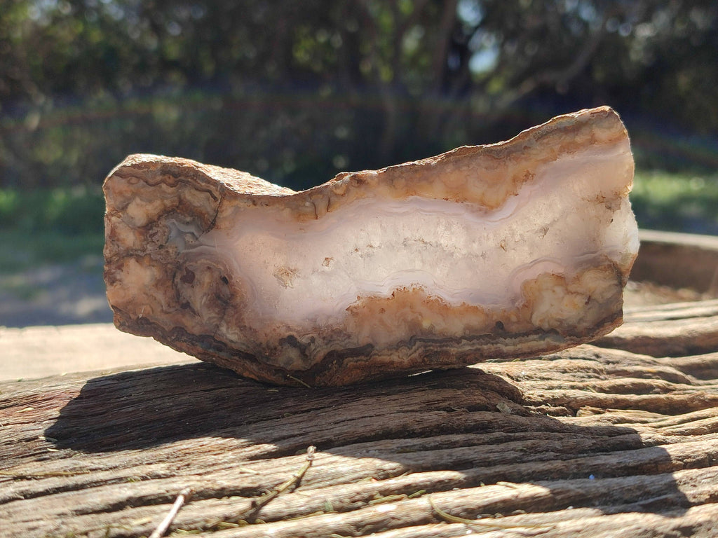 Polished On One Side 'Crazy' Blue Lace Agate x 7 From Namibia - Toprock Gemstones and Minerals 