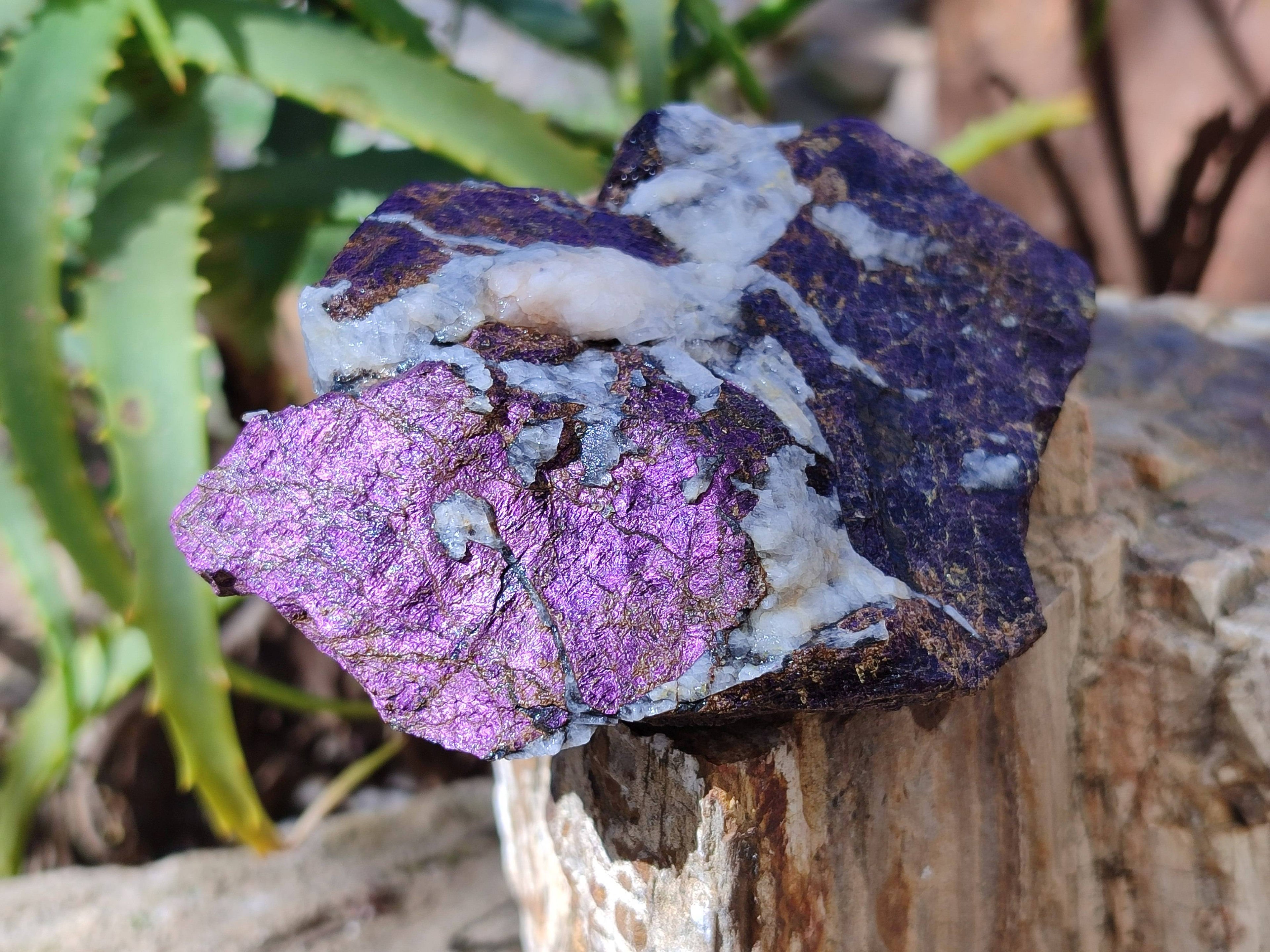 Natural Metallic Purpurite Cobbed Specimens x 6 From Erongo, Namibia - Toprock Gemstones and Minerals 