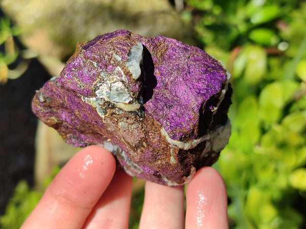 Natural Metallic Purpurite Cobbed Specimens x 6 From Erongo, Namibia