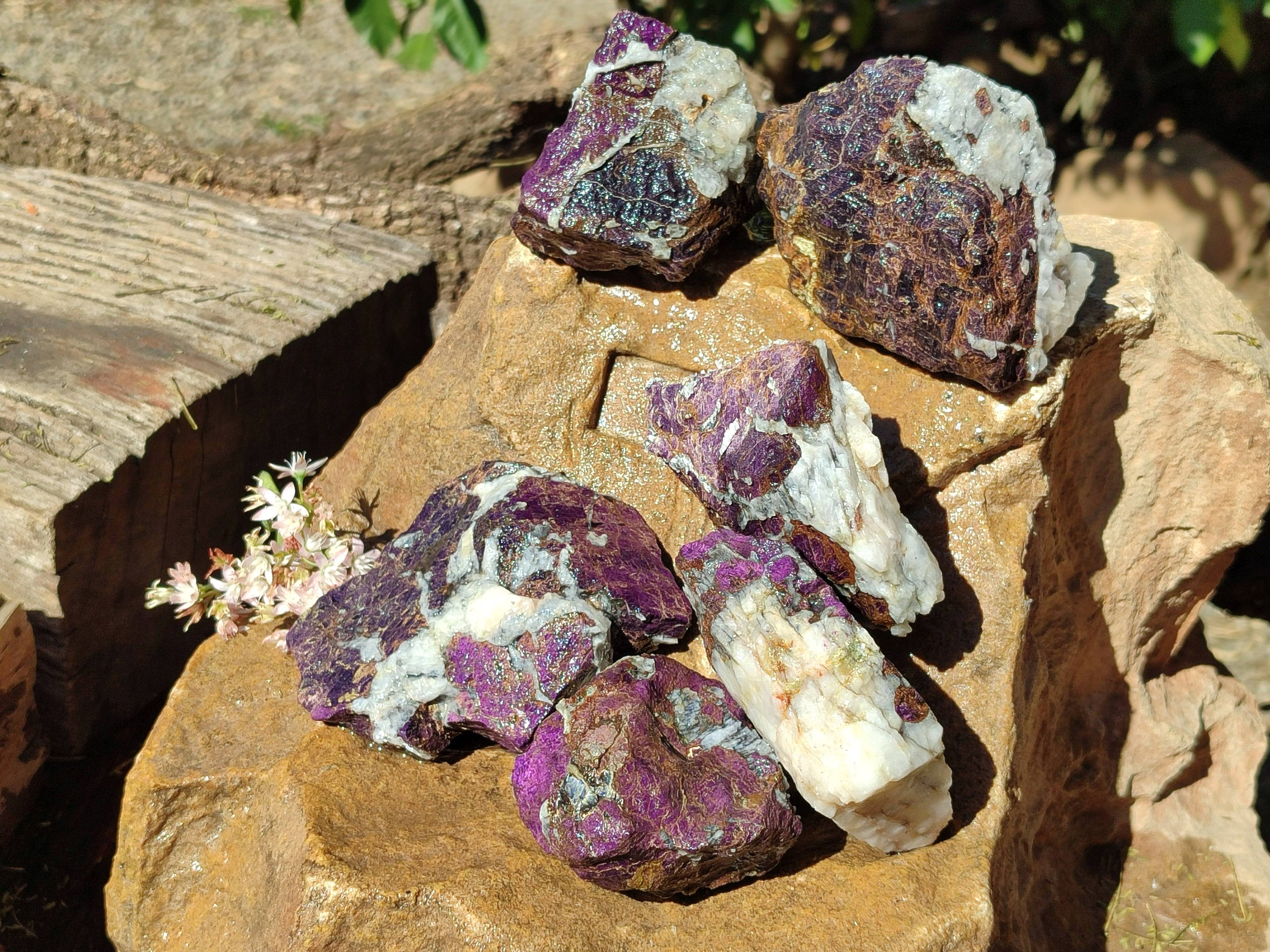 Natural Metallic Purpurite Cobbed Specimens x 6 From Erongo, Namibia - Toprock Gemstones and Minerals 