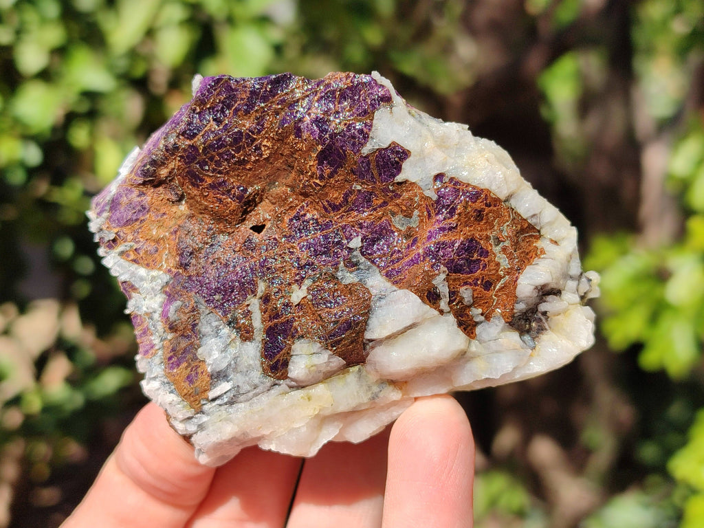 Natural Metallic Purpurite Cobbed Specimens x 6 From Erongo, Namibia - Toprock Gemstones and Minerals 