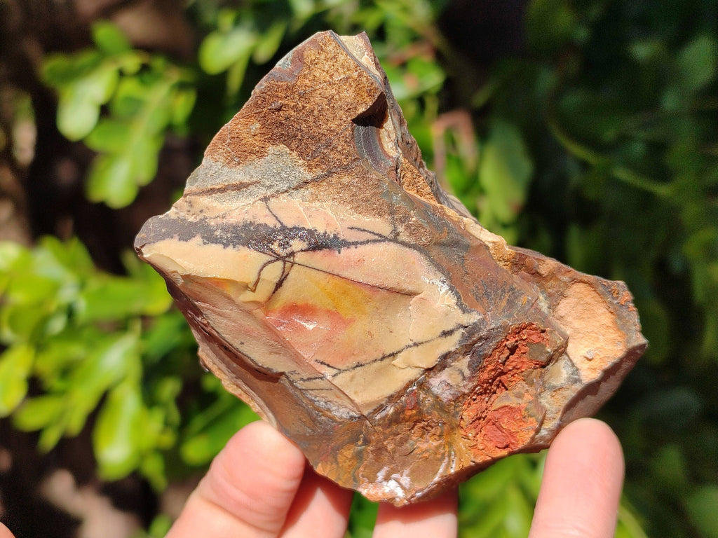 Natural Selected Nguni Jasper Cobbed Specimens x 12 From Prieska, South Africa - Toprock Gemstones and Minerals 