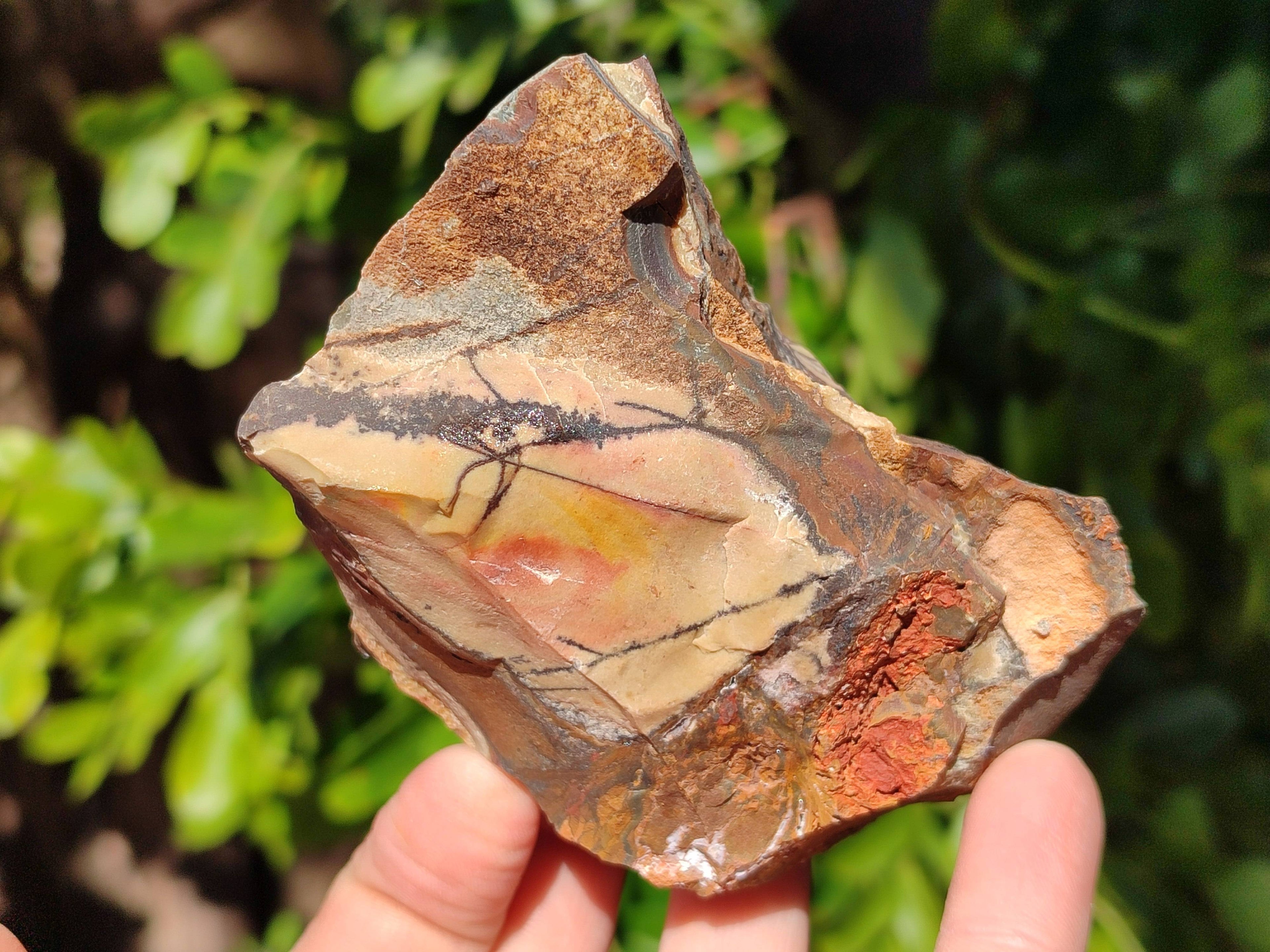 Natural Selected Nguni Jasper Cobbed Specimens x 12 From Prieska, South Africa - Toprock Gemstones and Minerals 