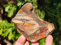 Natural Selected Nguni Jasper Cobbed Specimens x 12 From Prieska, South Africa
