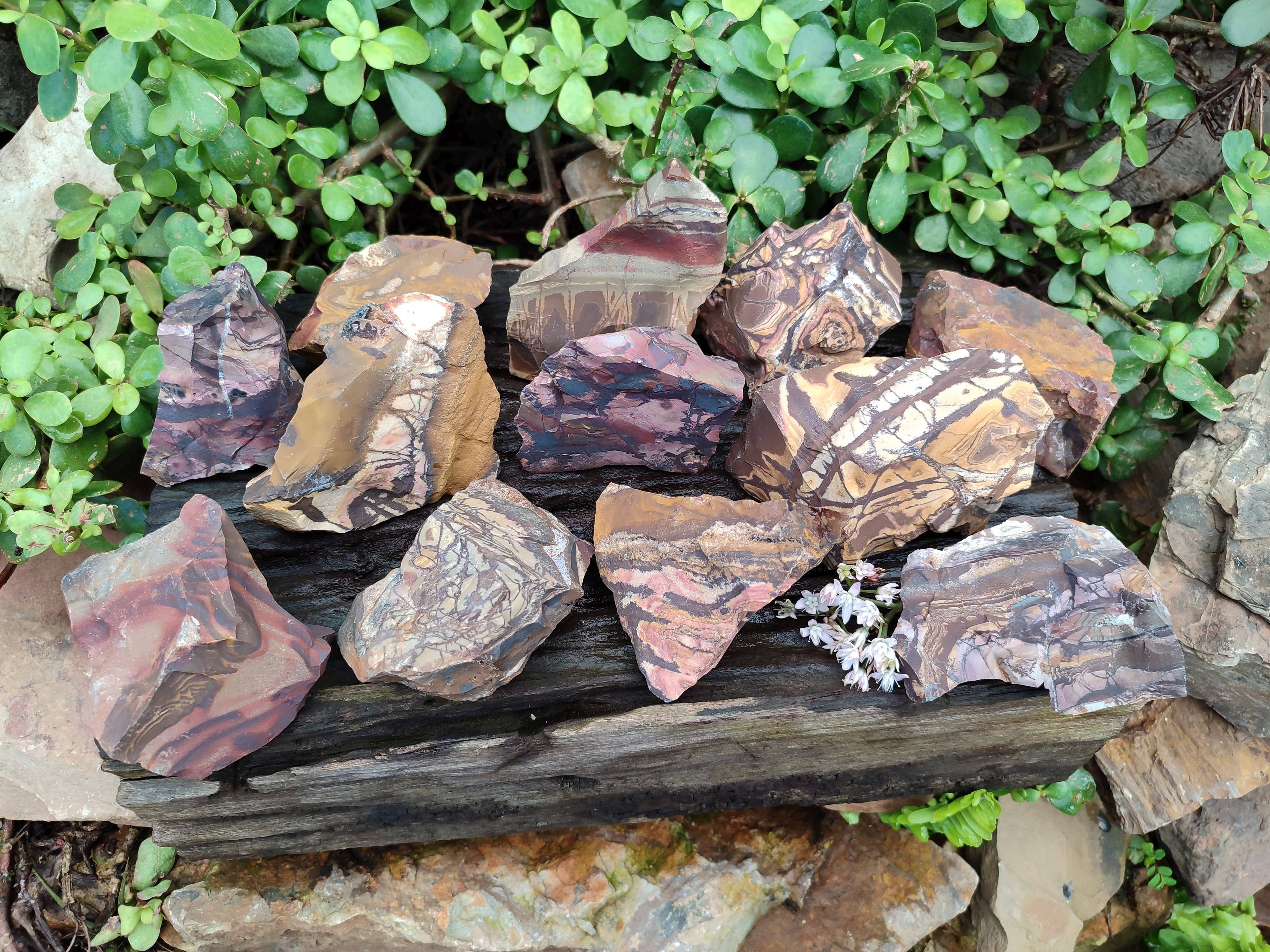 Natural Selected Nguni Jasper Cobbed Specimens x 12 From Prieska, South Africa - Toprock Gemstones and Minerals 