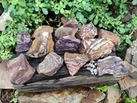 Natural Selected Nguni Jasper Cobbed Specimens x 12 From Prieska, South Africa