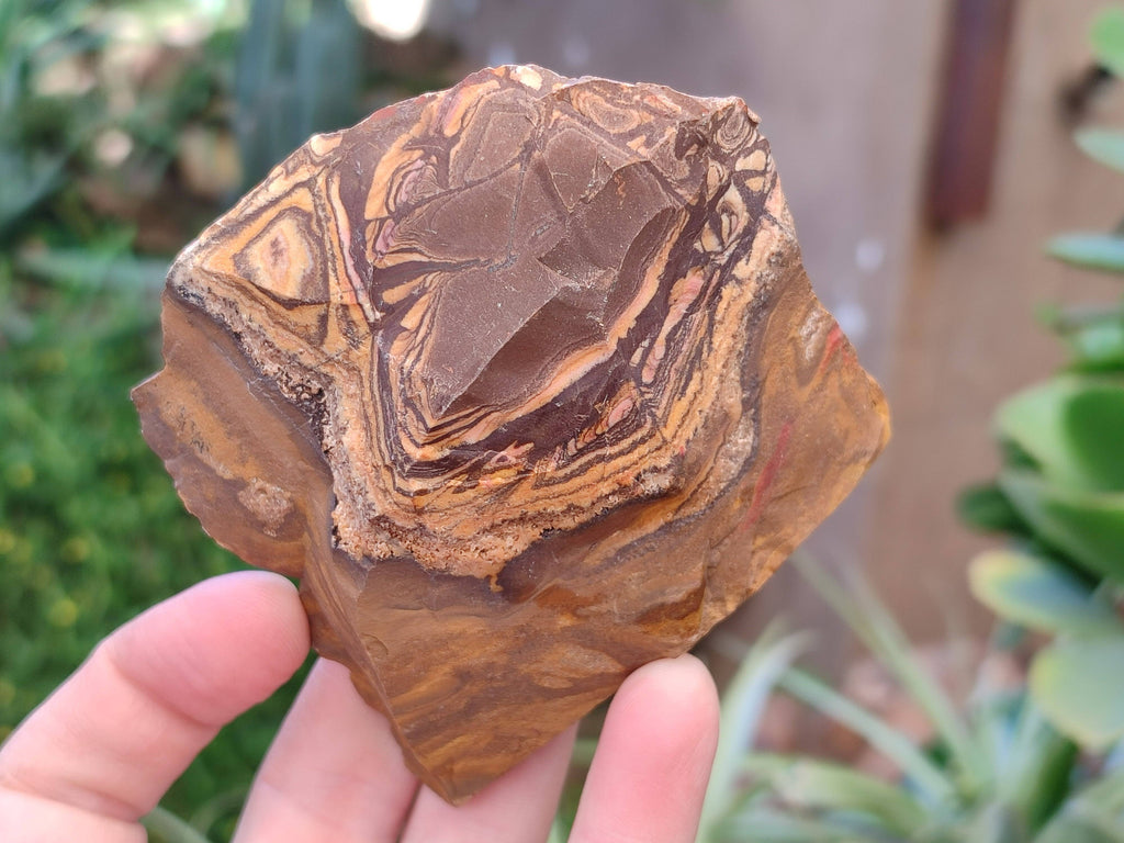 Natural Selected Nguni Jasper Cobbed Specimens x 12 From Prieska, South Africa - Toprock Gemstones and Minerals 