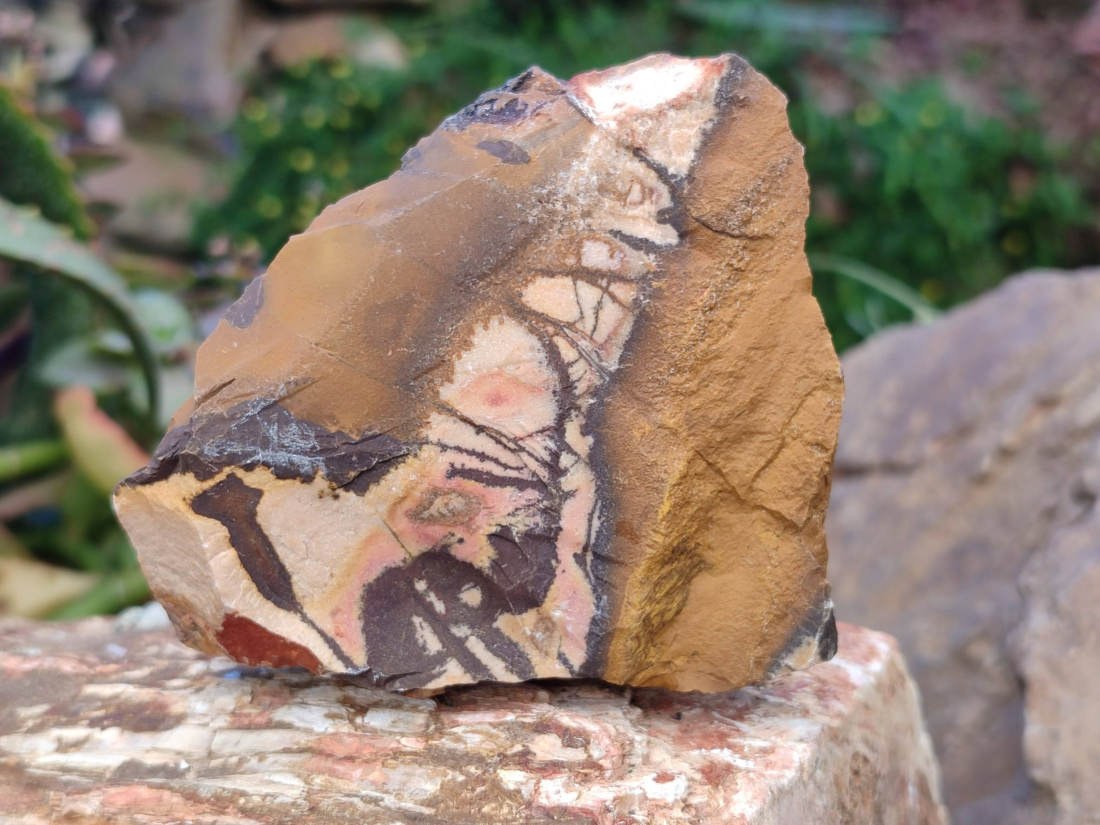 Natural Selected Nguni Jasper Cobbed Specimens x 12 From Prieska, South Africa - Toprock Gemstones and Minerals 