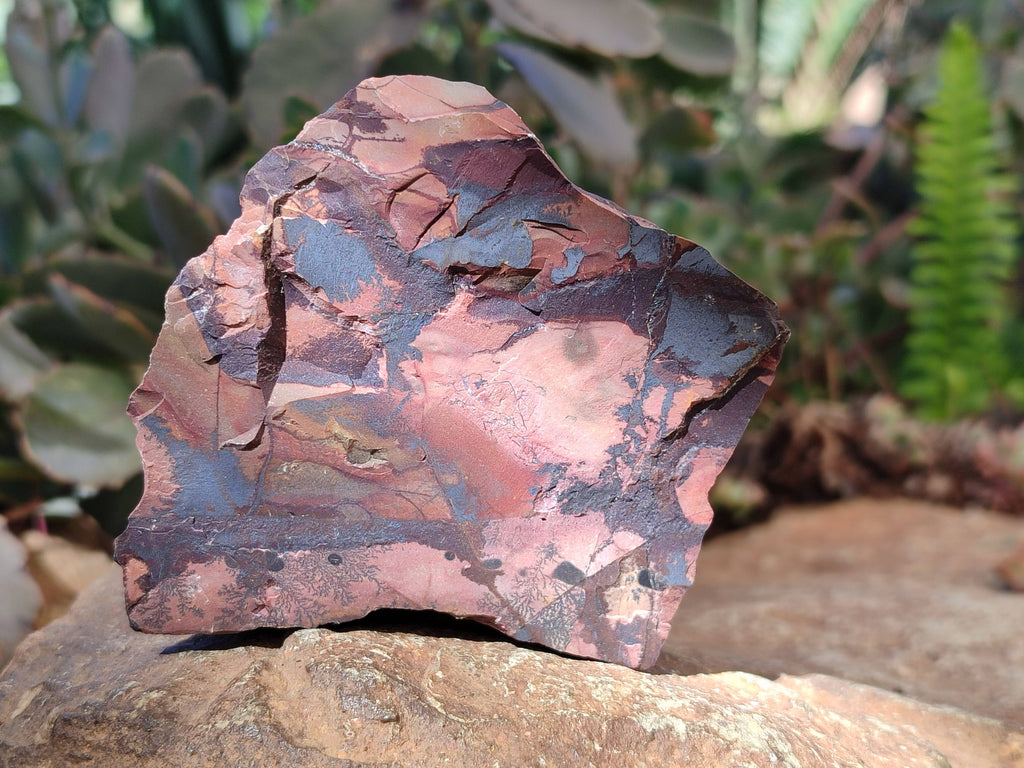 Natural Selected Nguni Jasper Cobbed Specimens x 12 From Prieska, South Africa - Toprock Gemstones and Minerals 