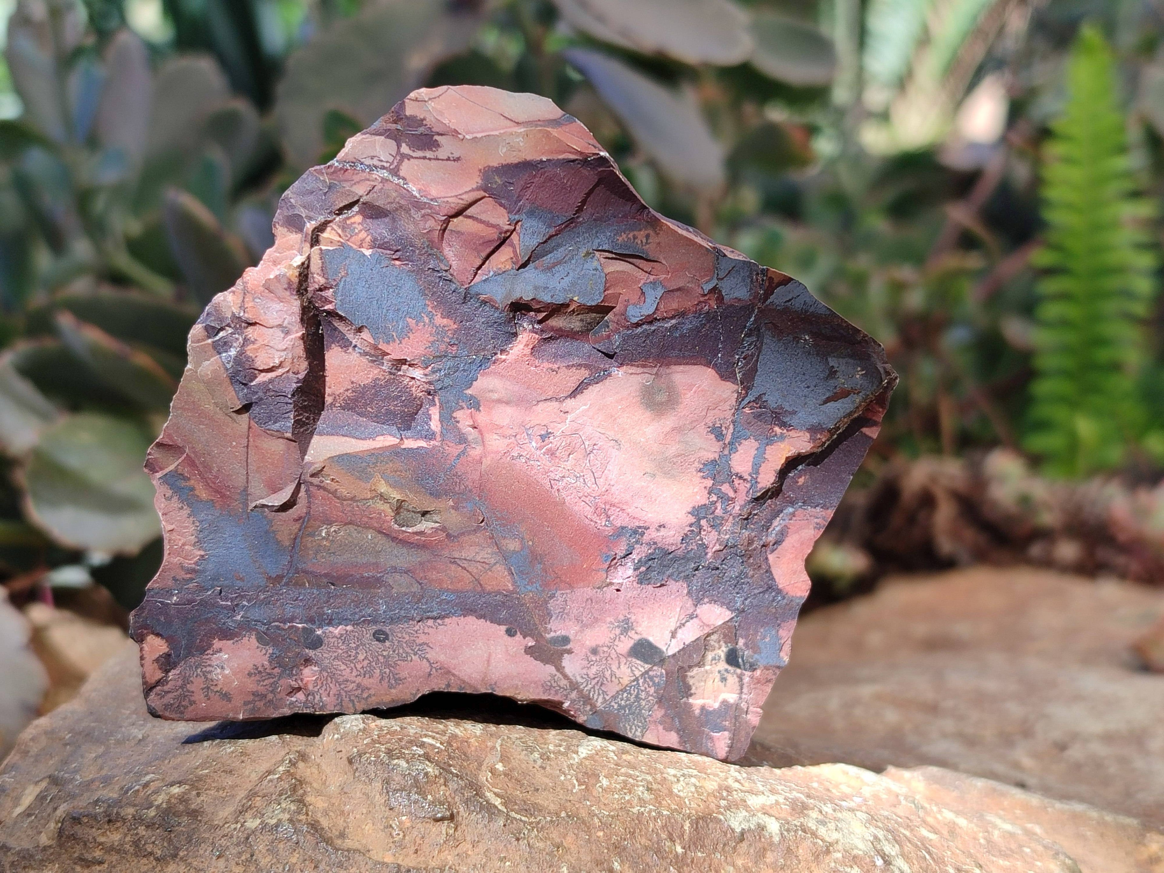 Natural Selected Nguni Jasper Cobbed Specimens x 12 From Prieska, South Africa - Toprock Gemstones and Minerals 