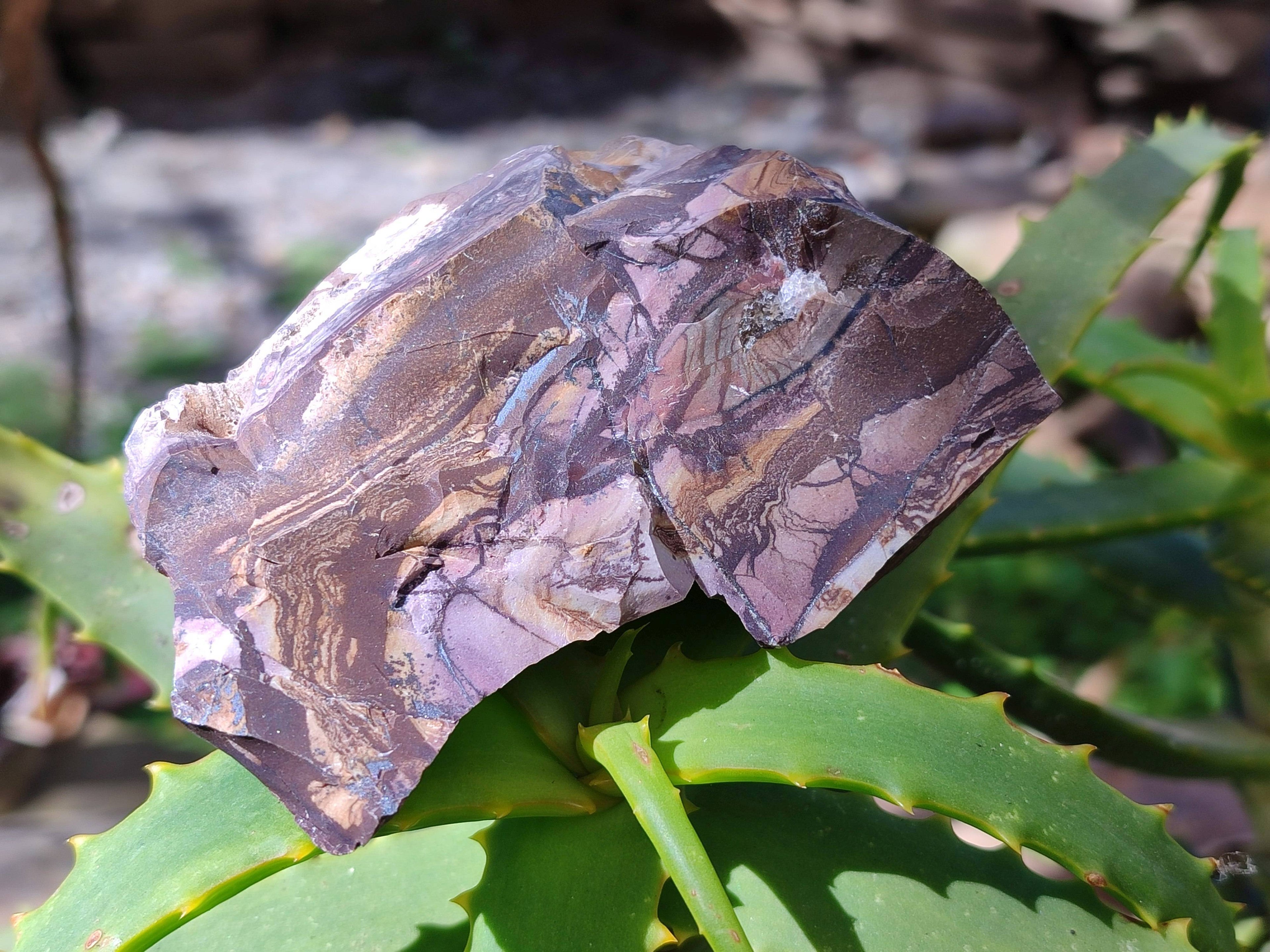 Natural Selected Nguni Jasper Cobbed Specimens x 12 From Prieska, South Africa - Toprock Gemstones and Minerals 