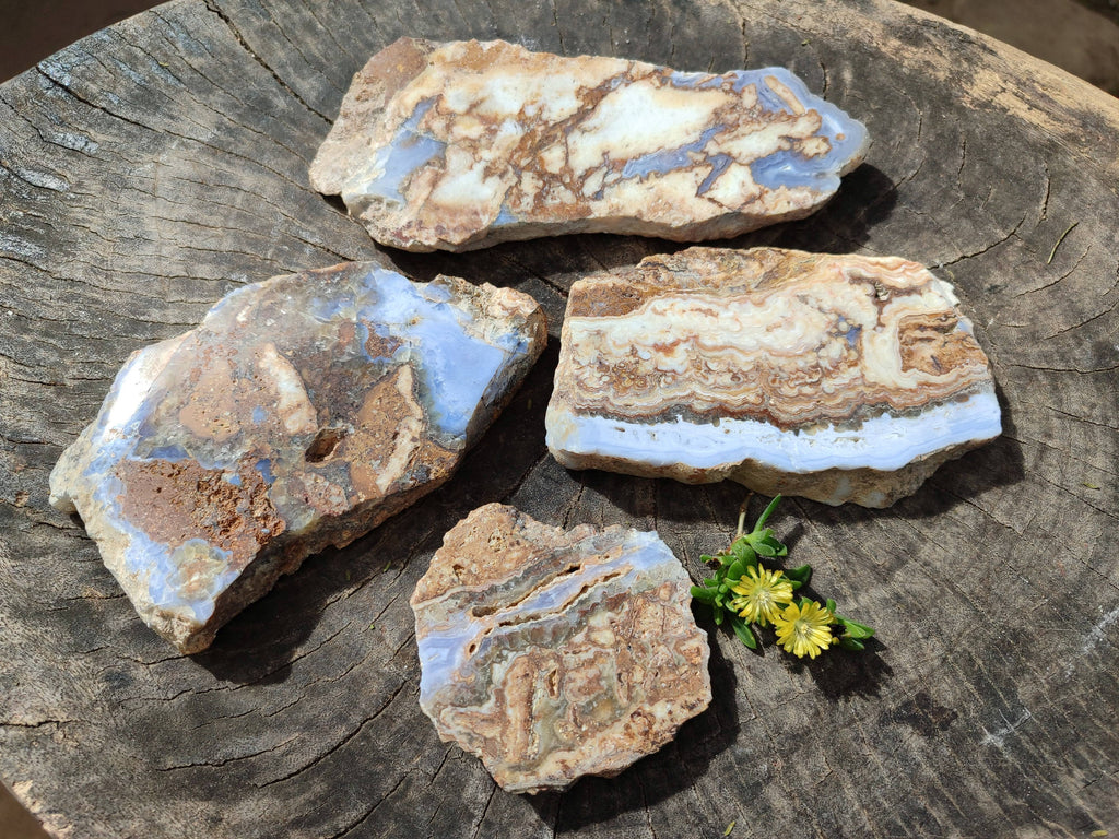 Polished On One Side 'Crazy' Blue Lace Agate x 4 From Namibia - Toprock Gemstones and Minerals 