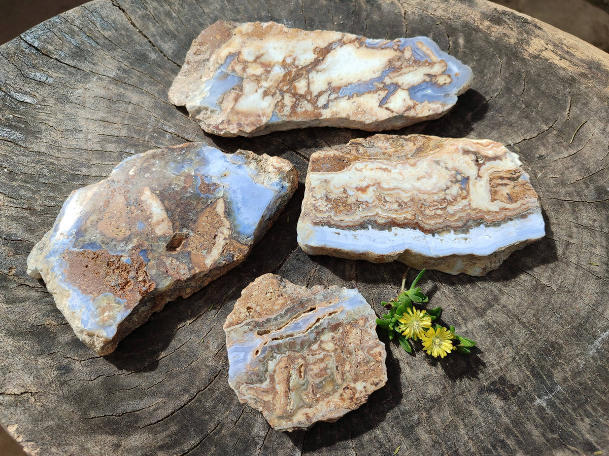 Polished On One Side 'Crazy' Blue Lace Agate x 4 From Namibia - Toprock Gemstones and Minerals 