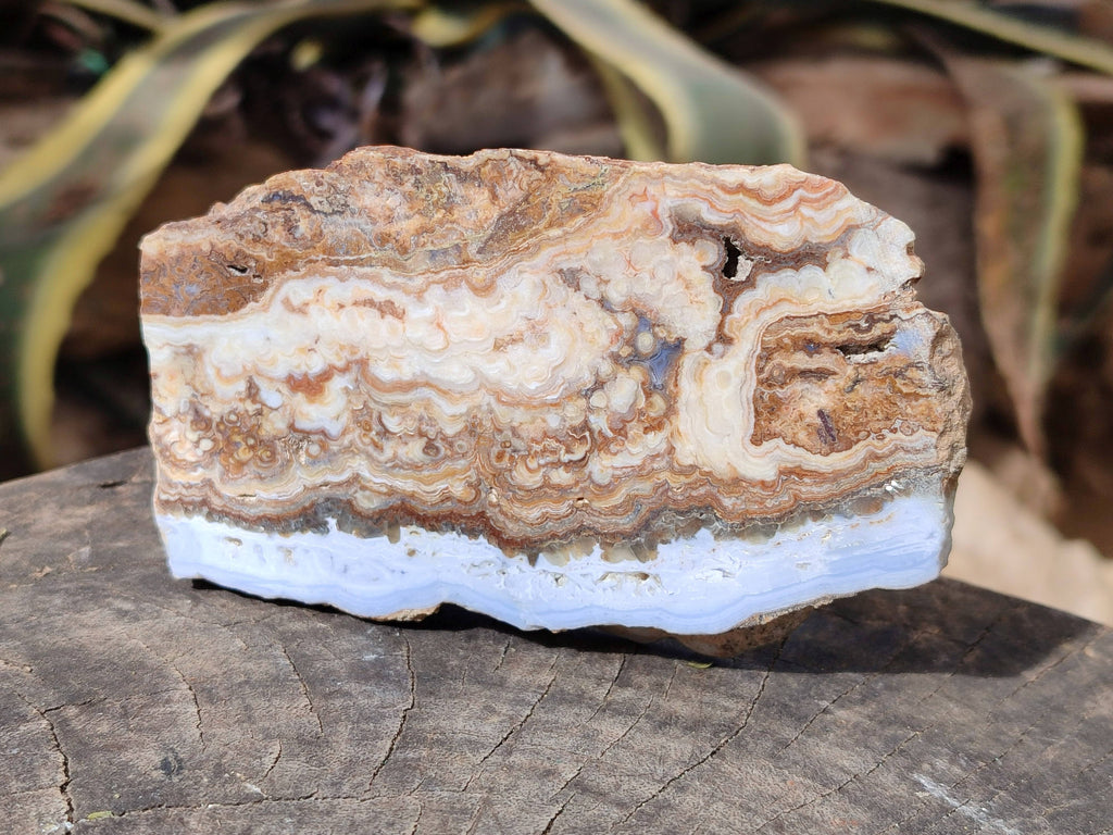 Polished On One Side 'Crazy' Blue Lace Agate x 4 From Namibia - Toprock Gemstones and Minerals 