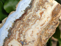 Polished On One Side 'Crazy' Blue Lace Agate x 4 From Namibia
