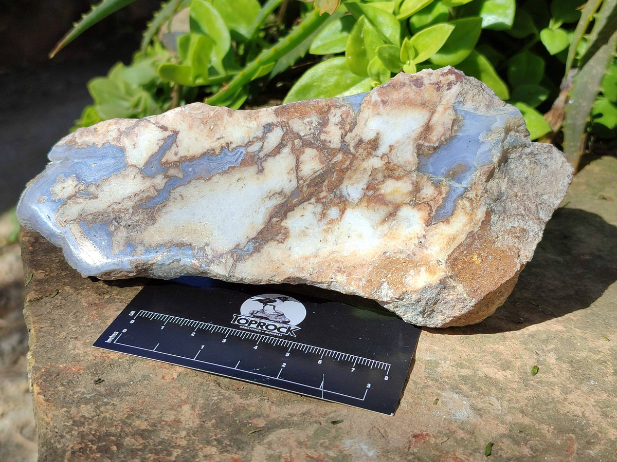 Polished On One Side 'Crazy' Blue Lace Agate x 4 From Namibia - Toprock Gemstones and Minerals 