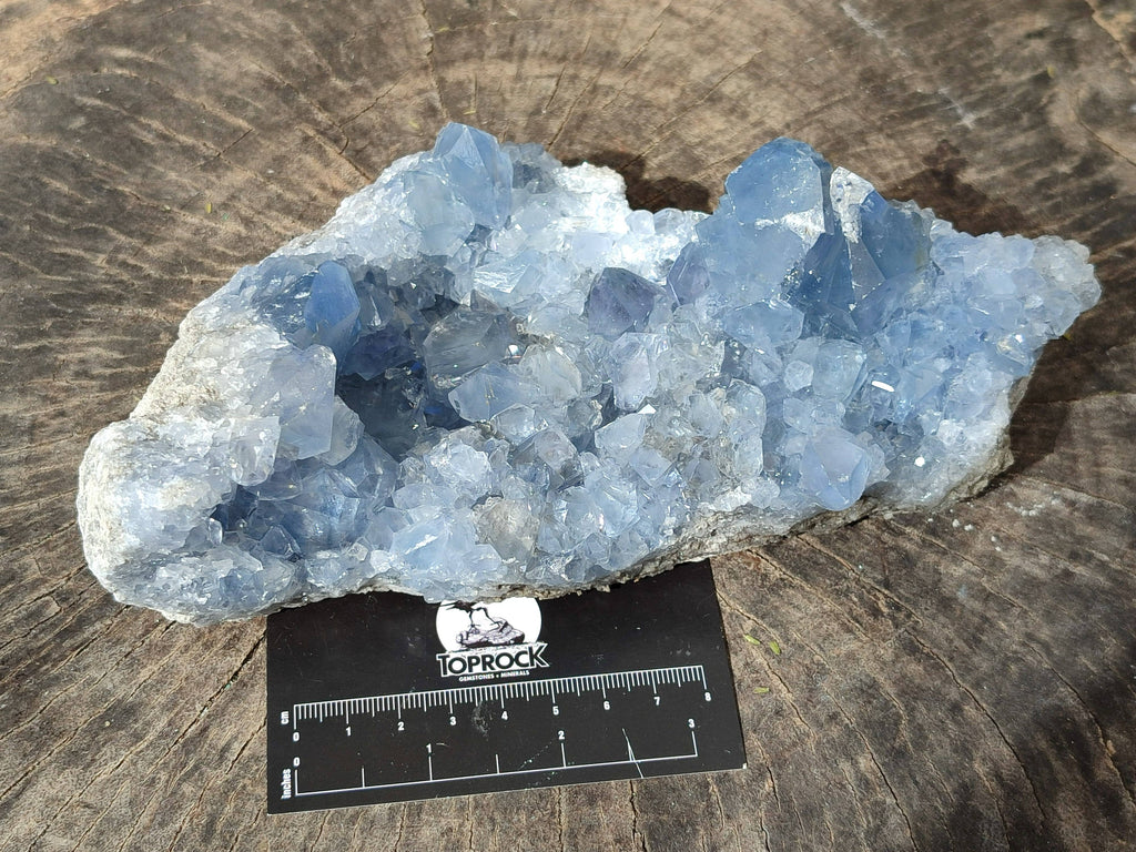 Natural Celestite Geode Specimen x 1 From Sakoany, Madagascar - Toprock Gemstones and Minerals 