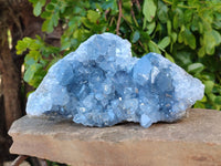 Natural Celestite Geode Specimen x 1 From Sakoany, Madagascar