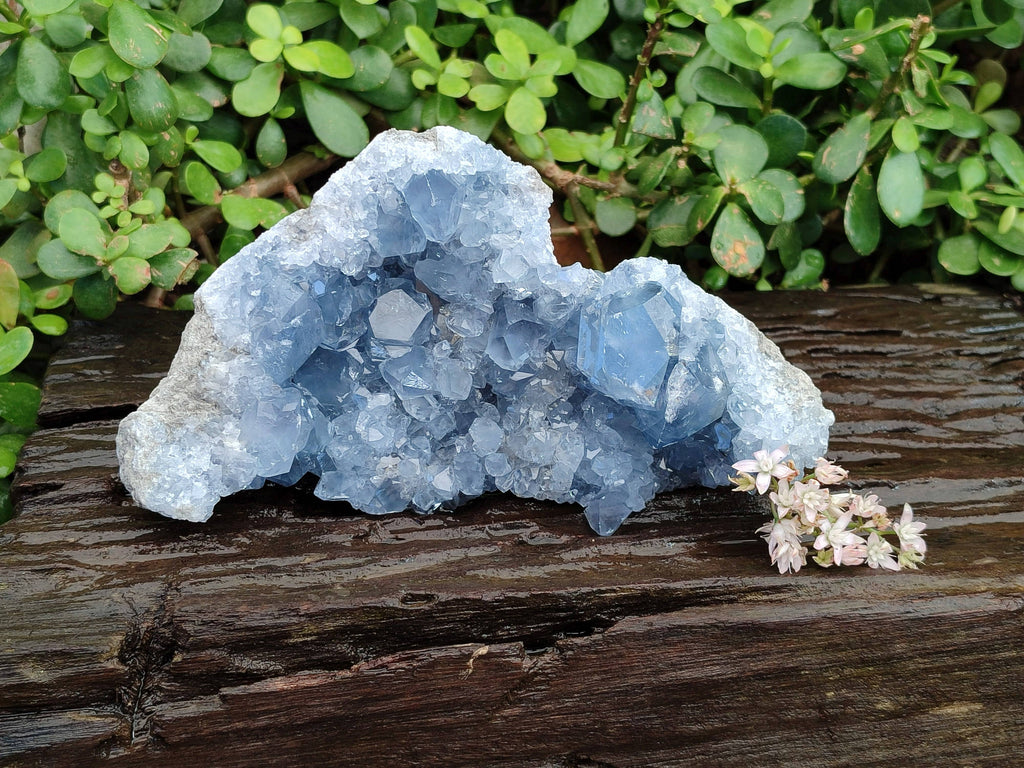 Natural Celestite Geode Specimen x 1 From Sakoany, Madagascar - Toprock Gemstones and Minerals 
