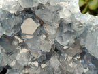 Natural Celestite Geode Specimen x 1 From Sakoany, Madagascar - Toprock Gemstones and Minerals 