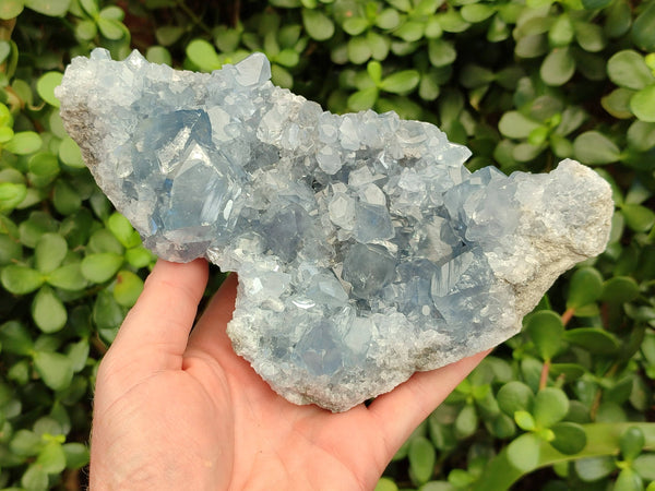 Natural Celestite Geode Specimen x 1 From Sakoany, Madagascar