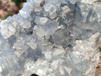 Natural Celestite Geode Specimen x 1 From Sakoany, Madagascar - Toprock Gemstones and Minerals 