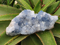 Natural Celestite Geode Specimen x 1 From Sakoany, Madagascar