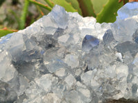 Natural Celestite Geode Specimen x 1 From Sakoany, Madagascar