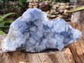 Natural Celestite Geode Specimen x 1 From Sakoany, Madagascar - Toprock Gemstones and Minerals 