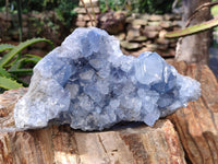 Natural Celestite Geode Specimen x 1 From Sakoany, Madagascar
