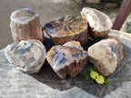 Polished On One Side Petrified Wood x 6 From Gokwe, Zimbabwe - Toprock Gemstones and Minerals 