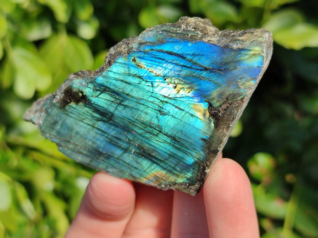 Polished On One Side Labradorite x 12 From Tulear, Madagascar - Toprock Gemstones and Minerals 