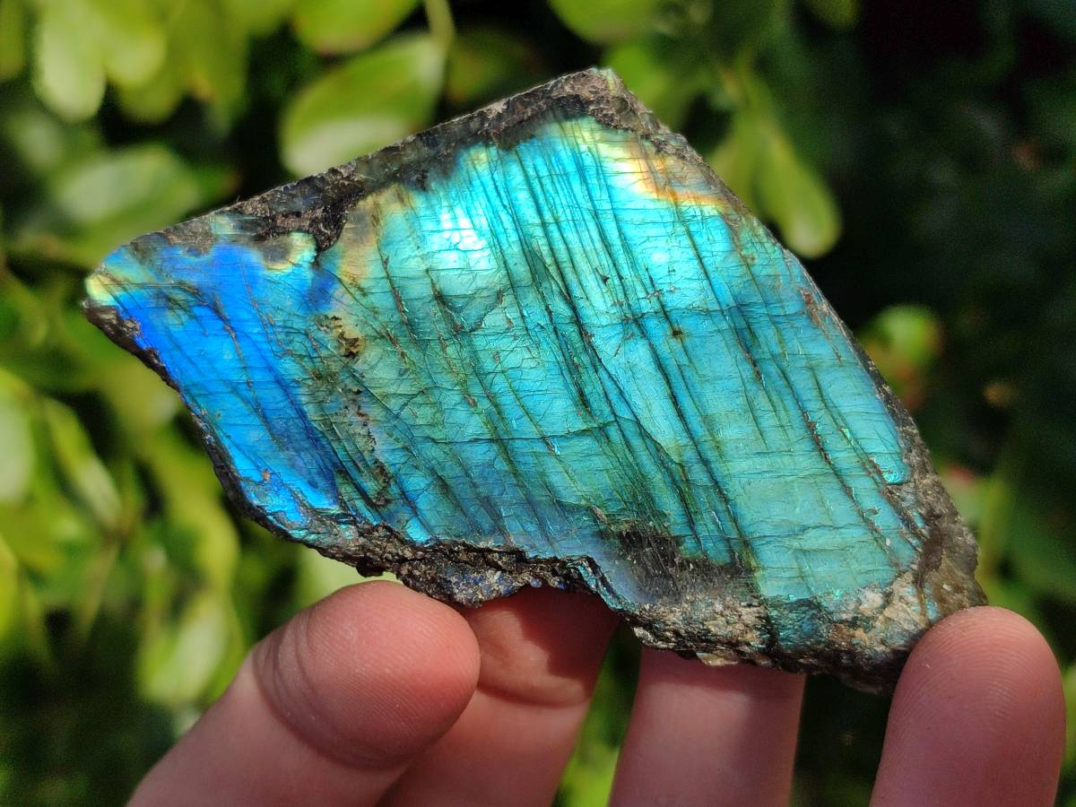 Polished On One Side Labradorite x 12 From Tulear, Madagascar - Toprock Gemstones and Minerals 
