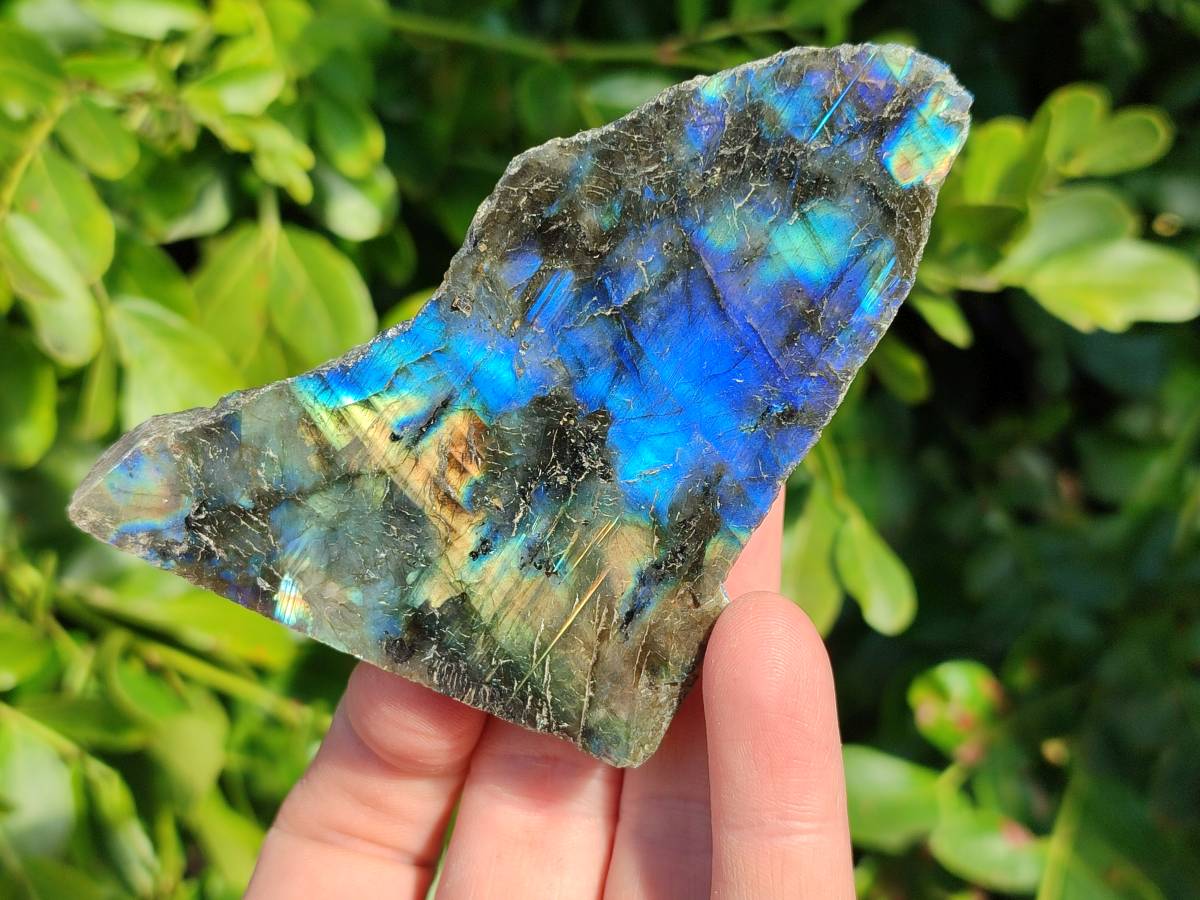 Polished On One Side Labradorite x 12 From Tulear, Madagascar - Toprock Gemstones and Minerals 