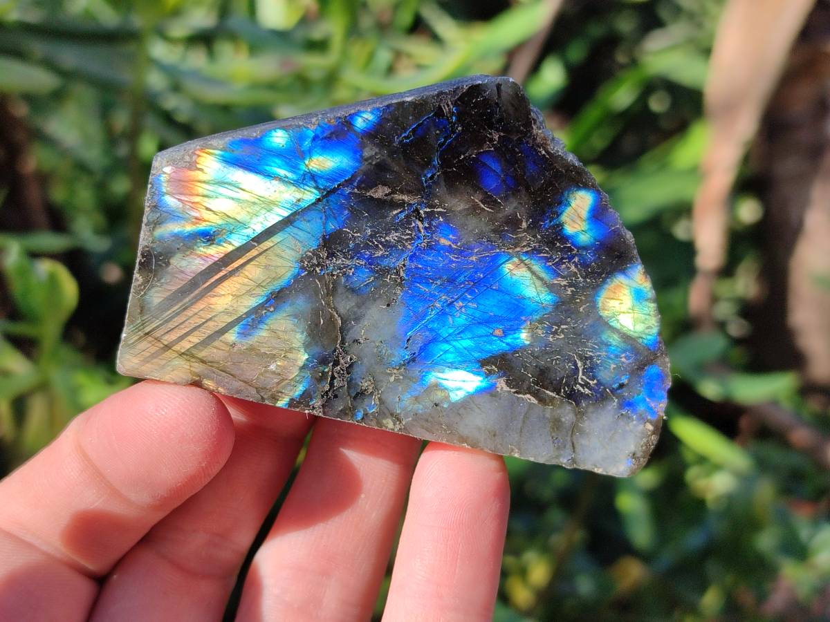 Polished On One Side Labradorite x 12 From Tulear, Madagascar - Toprock Gemstones and Minerals 