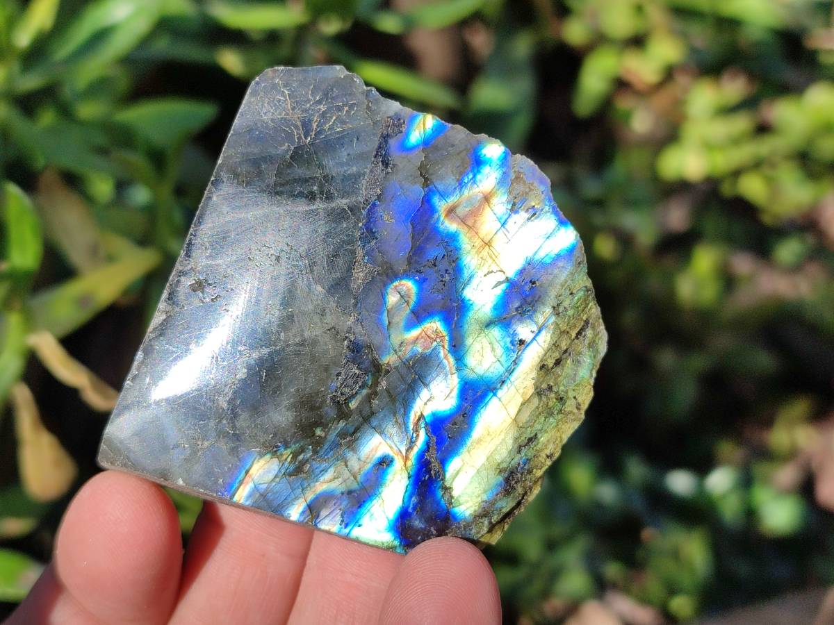 Polished On One Side Labradorite x 12 From Tulear, Madagascar - Toprock Gemstones and Minerals 