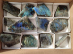 Polished On One Side Labradorite x 12 From Tulear, Madagascar - Toprock Gemstones and Minerals 