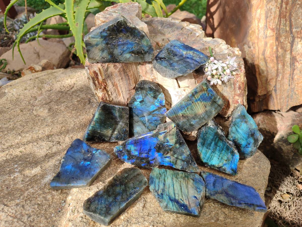 Polished On One Side Labradorite x 12 From Tulear, Madagascar - Toprock Gemstones and Minerals 