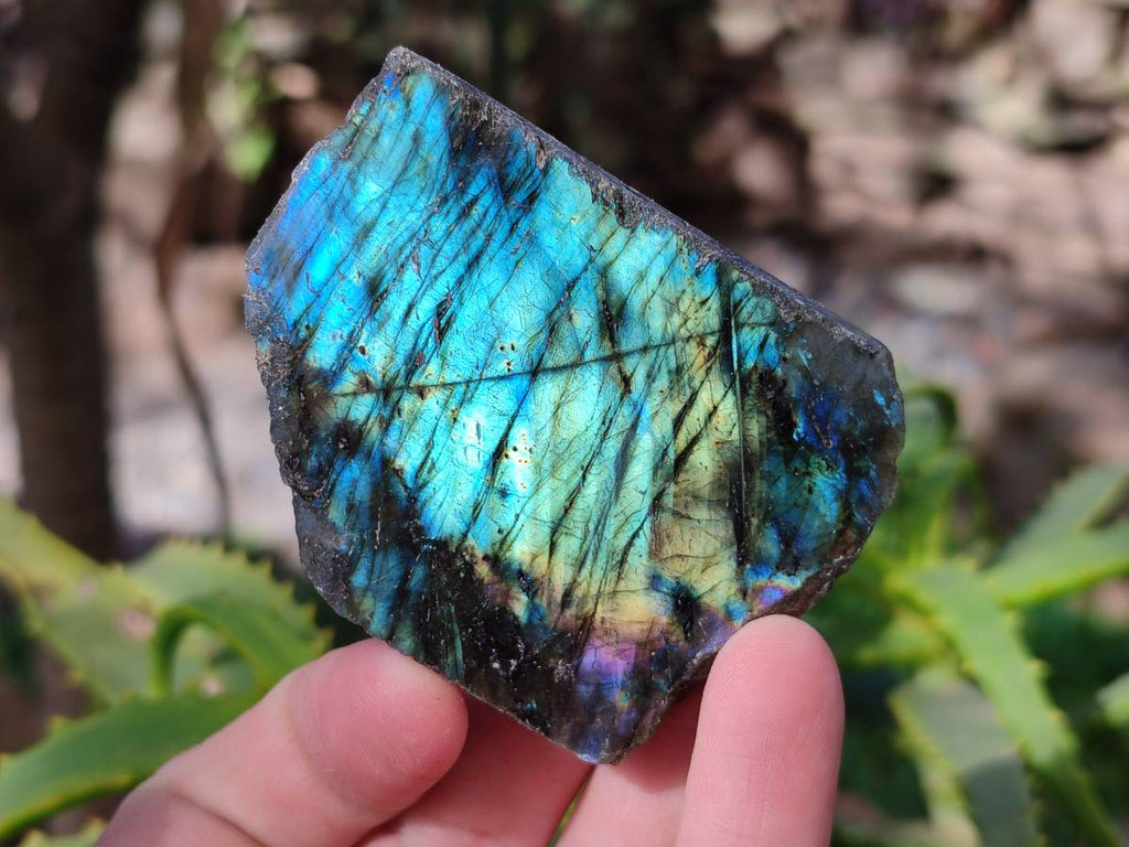 Polished On One Side Labradorite x 12 From Tulear, Madagascar - Toprock Gemstones and Minerals 