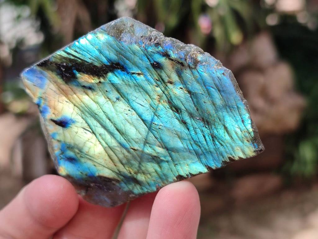 Polished On One Side Labradorite x 12 From Tulear, Madagascar - Toprock Gemstones and Minerals 