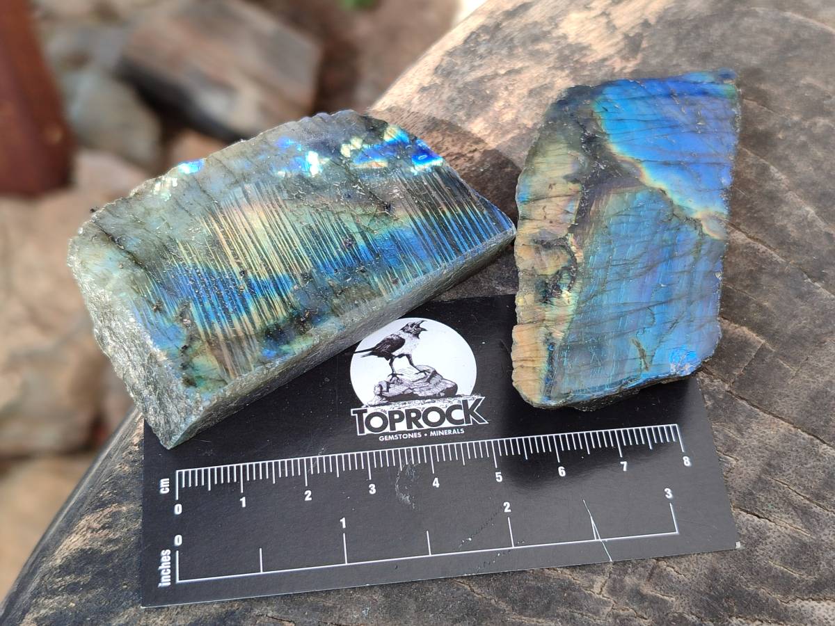 Polished On One Side Labradorite x 12 From Tulear, Madagascar - Toprock Gemstones and Minerals 