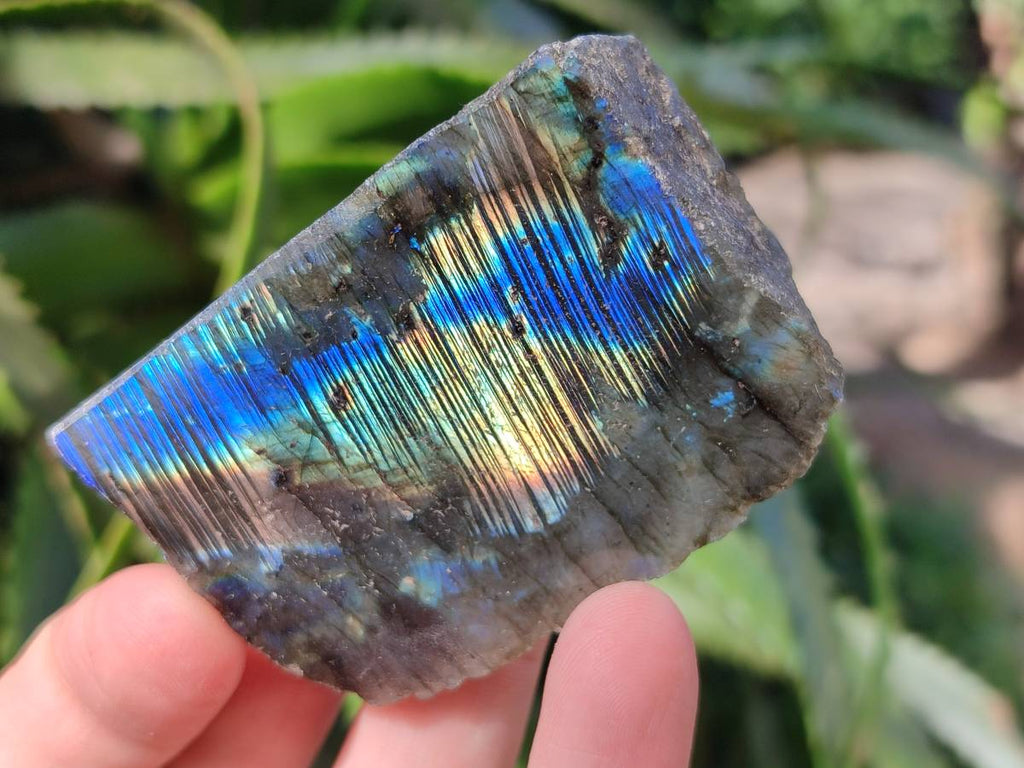 Polished On One Side Labradorite x 12 From Tulear, Madagascar - Toprock Gemstones and Minerals 
