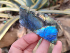 Polished On One Side Labradorite x 12 From Tulear, Madagascar - Toprock Gemstones and Minerals 