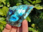 Polished On One Side Labradorite x 12 From Tulear, Madagascar - Toprock Gemstones and Minerals 