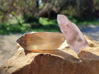 Natural Mix of Retail Items x 16 From Namibia